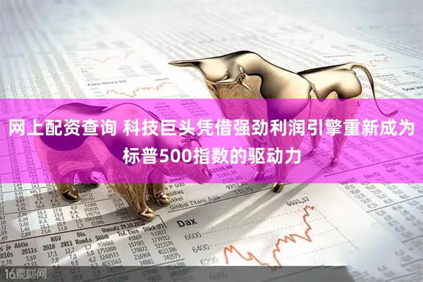 网上配资查询 科技巨头凭借强劲利润引擎重新成为标普500指数的驱动力